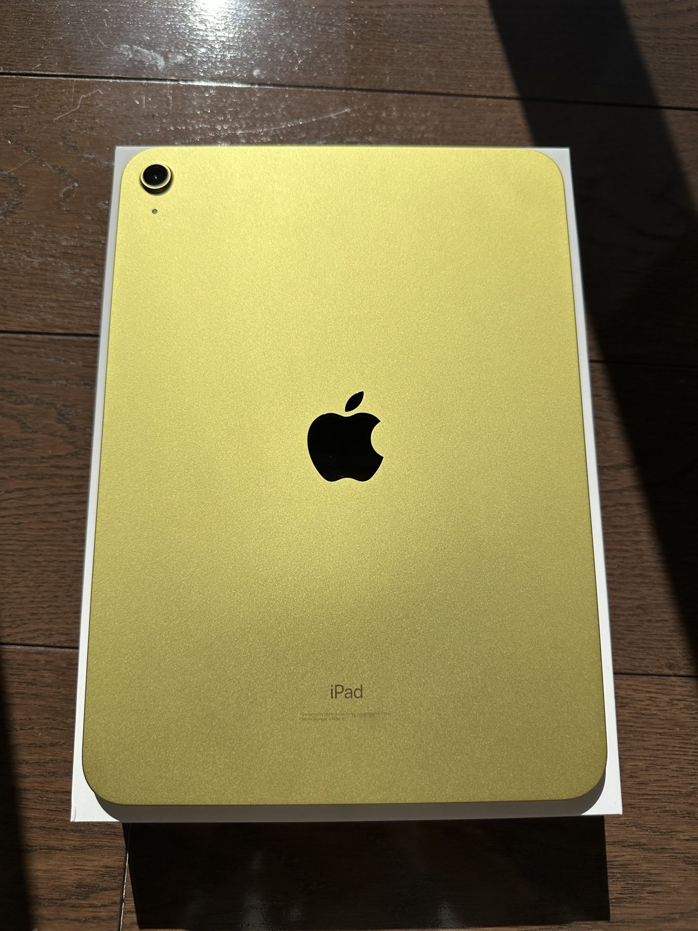 iPad 第10世代 イエロー